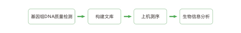 亚洲熟妇无码乱子AV电影