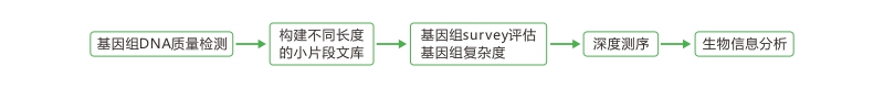 亚洲熟妇无码乱子AV电影