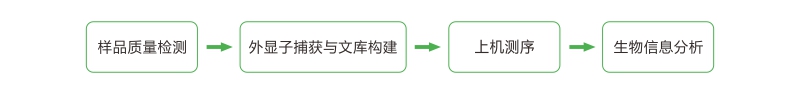 亚洲熟妇无码乱子AV电影