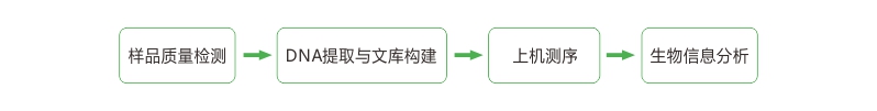 亚洲熟妇无码乱子AV电影