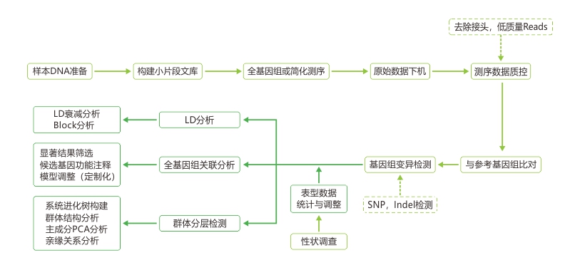 亚洲熟妇无码乱子AV电影