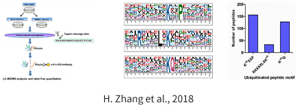 亚洲熟妇无码乱子AV电影