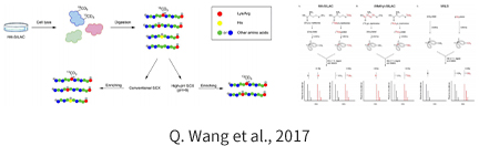 亚洲熟妇无码乱子AV电影