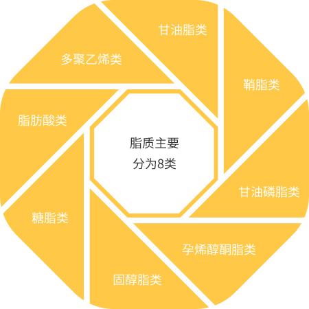 亚洲熟妇无码乱子AV电影