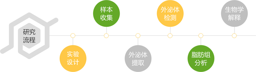 亚洲熟妇无码乱子AV电影