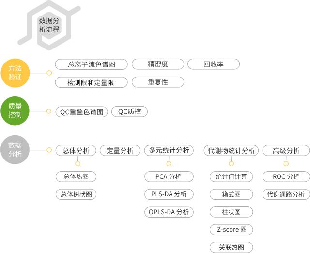 亚洲熟妇无码乱子AV电影