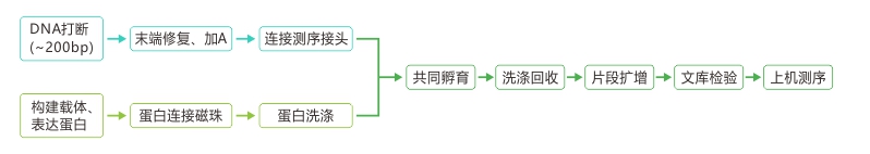 亚洲熟妇无码乱子AV电影