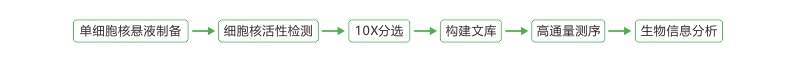 亚洲熟妇无码乱子AV电影