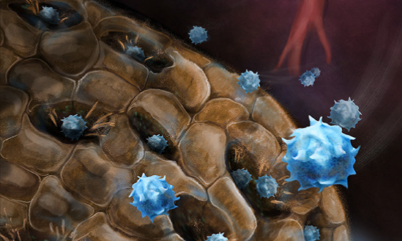 Signal Transduction and Targeted Therapy